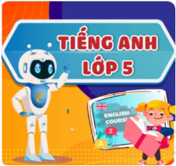Pro 7